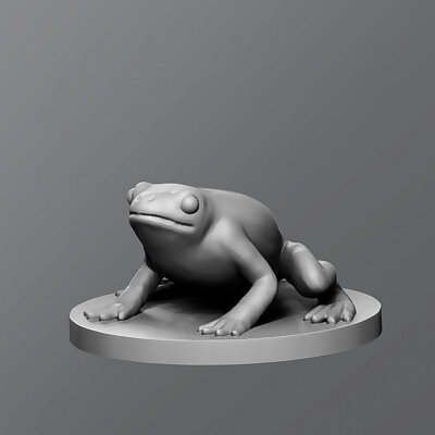 Frog