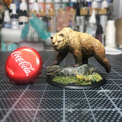 Grizzly 28mm