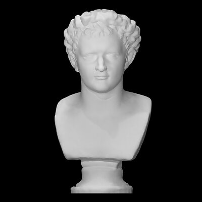 Bust of Domitian