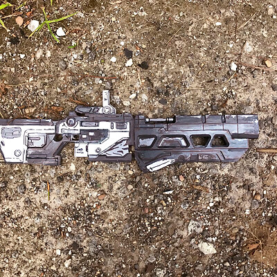 Borderlands 3 Rifle For small print beds