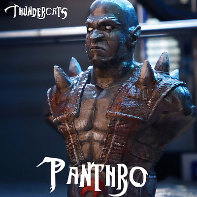 Panthro from Thundercats support free bust