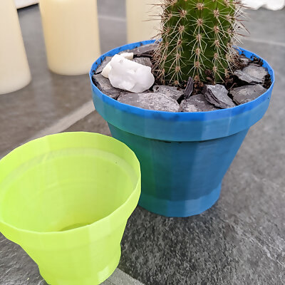 generic cactus plant pot
