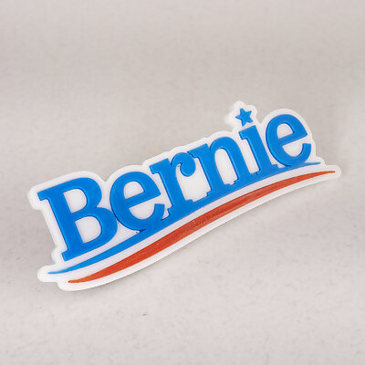 Bernie 2020 Logo Fridge Magnet 6