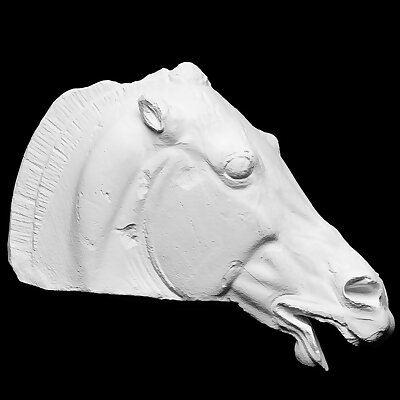 Head of the Horse of Selene