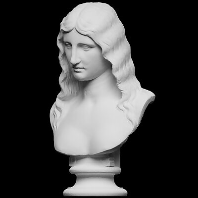 Bust of a Barbarian Woman