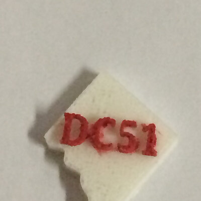 DC51 Pin
