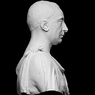 Bust of Francesco di Tommaso Sassetti