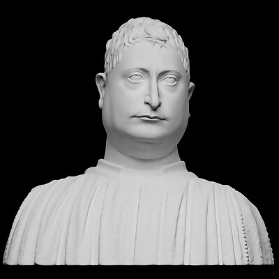 Portrait of Niccolò Strozzi