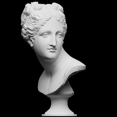 Venus Italica Bust