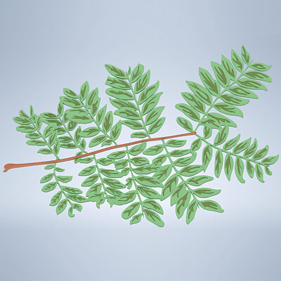 Pinnate Leaf Branch