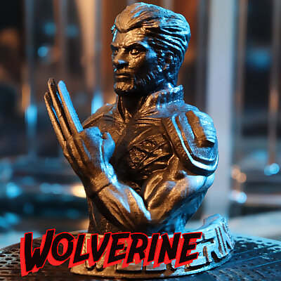 Wolverine from the XMen Comics