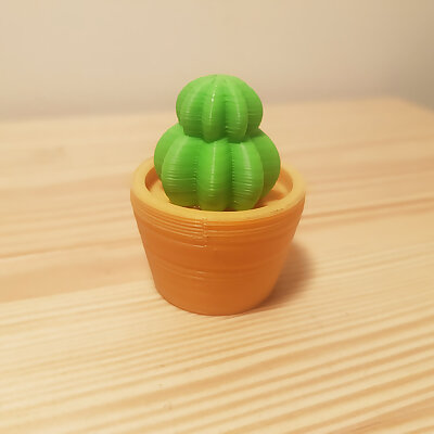 Mini Cactus pot