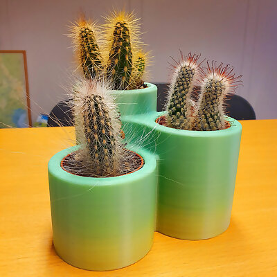 Cactus pot x3