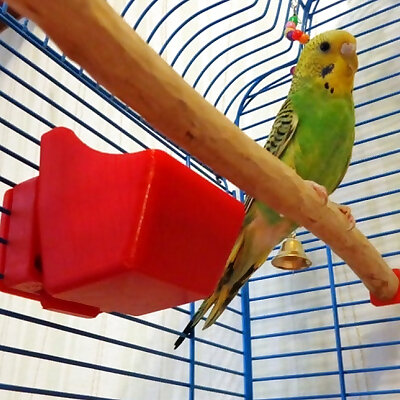 Feeding Trough For Parrot