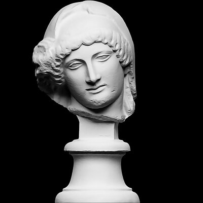 Head of the Mourning Penelope
