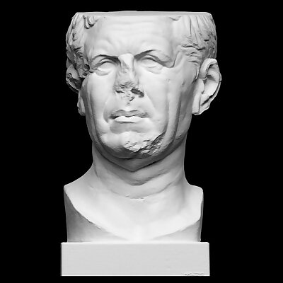Portrait of a Roman the socalled Tivoli General