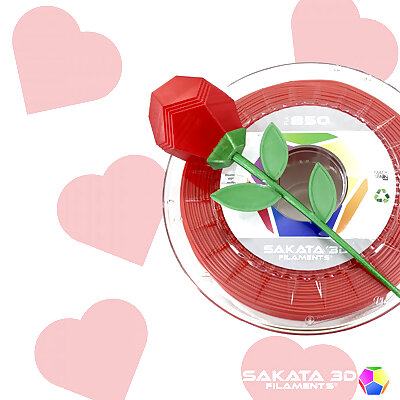 Sakata 3D Filaments Rose