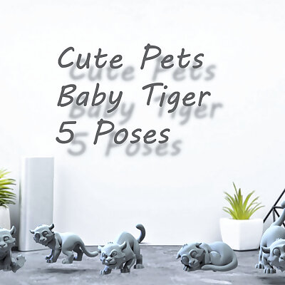 Baby Tiger cute pets