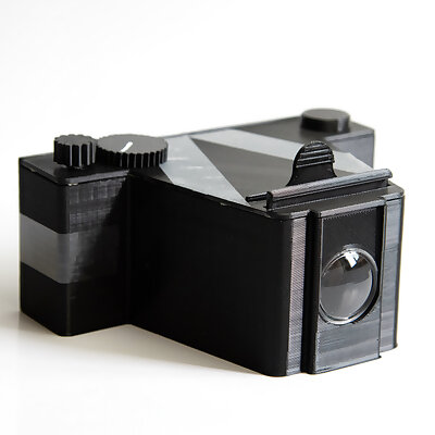 Panoramic Camera with Polaroid lens