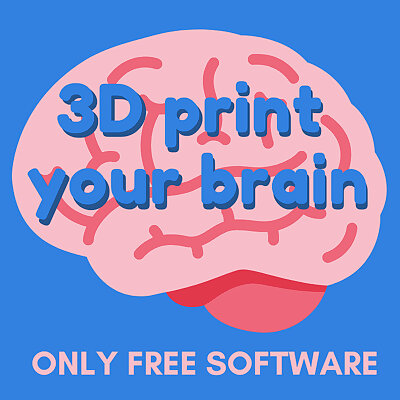 How to 3D print Your Brain