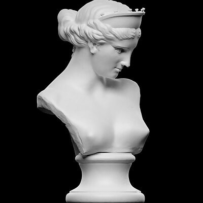 Bust of the Venus de Capua