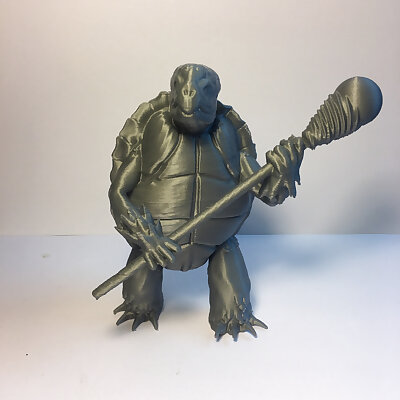 Tortle Wizard for Tabletop RPG Fantasy Games