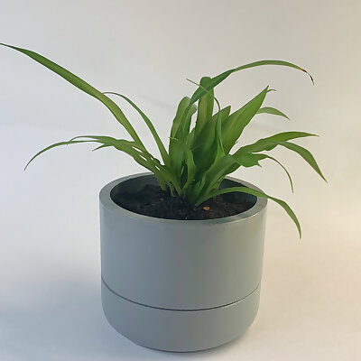 Simple Self Watering Plant Pot
