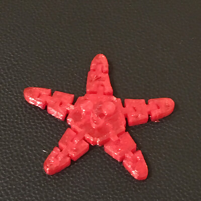 Articulated Star Fish