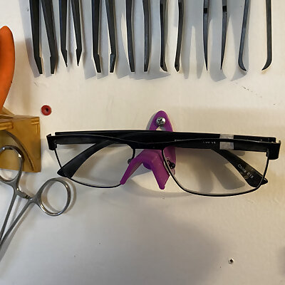 Safety Glasses Wall mount