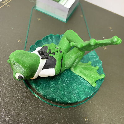 Mr J Pond Froggy on a Lilypad