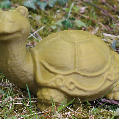 Turtle Schildkröte
