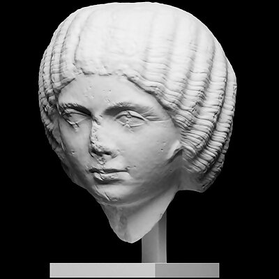 Marble Portrait Head of a Woman