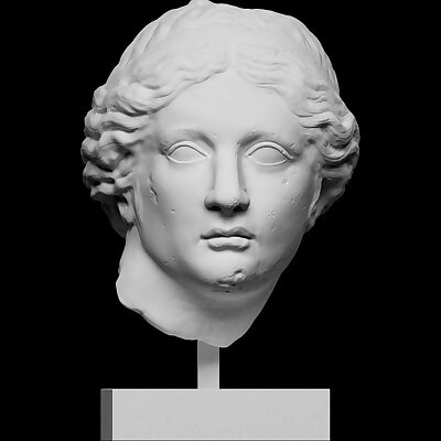 Marble Head of a Apollo