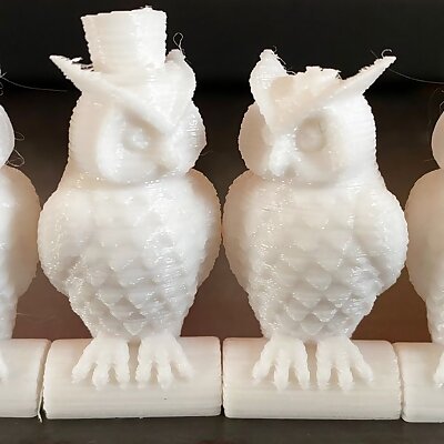 Pair of Owls Anycubic i3 mega S