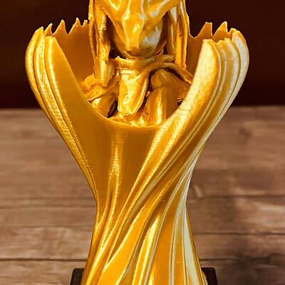 Slay the Spire Silent Trophy