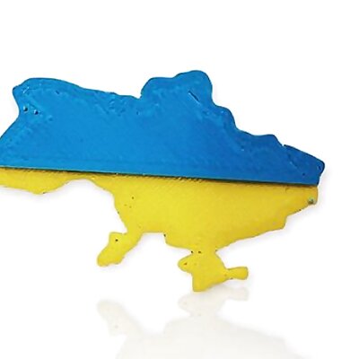 Ukraine pin