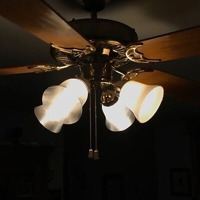 Hunter fan lamp shade