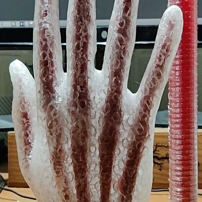 Hand with bones for multimaterial