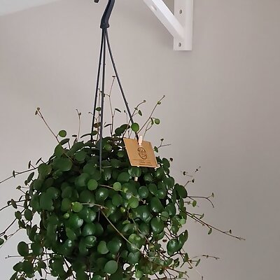Hanging Plant Bracket