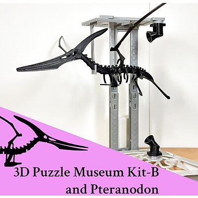 3D Puzzle Museum KitB  Pteranodon