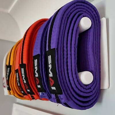 Karate belt hanger