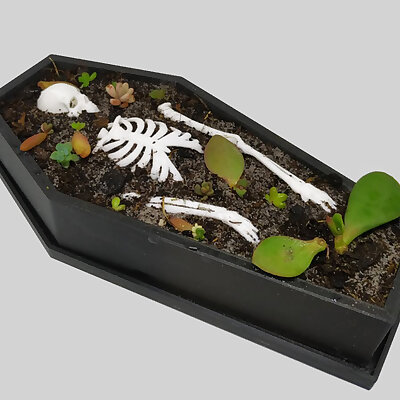 Coffin pot plant container for Halloween