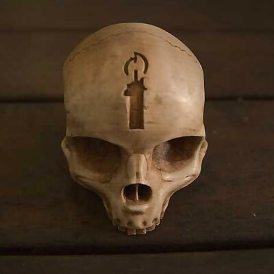 Halo Campaign Skull with icons upon request