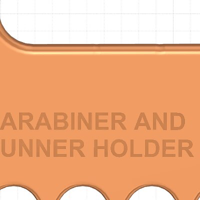 Carabiner and runner holder with handle