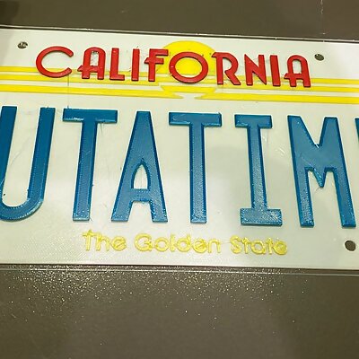 OUTATIME Back to the Future License Plate