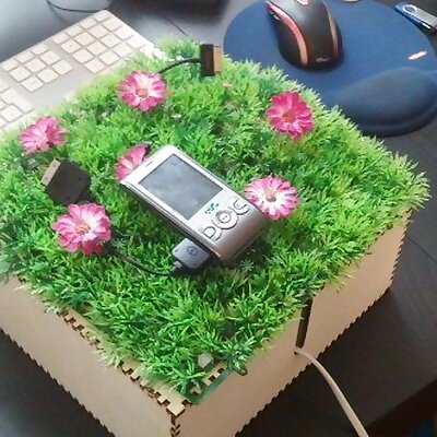 Charging Lawn