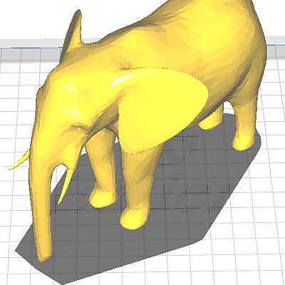 Simple Elephant Model