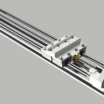 Linear Double Screw Rail 2040