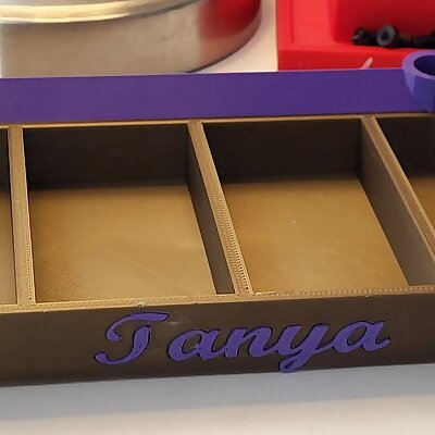 Tnayas parts tray