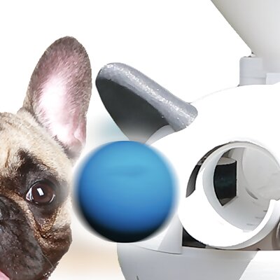 The ultimate DIY Automatic Dog Ball Launcher With Video Tutorial